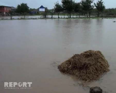 Cənub bölgəsində sel sularının yaratdığı fəsadlar - FOTOREPORTAJ