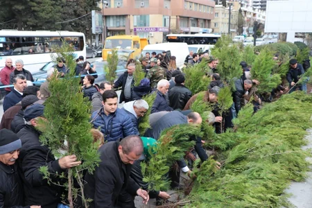 Yaz ağacəkmə kampaniyası çərçivəsində 863 000-dən çox ağac əkilib