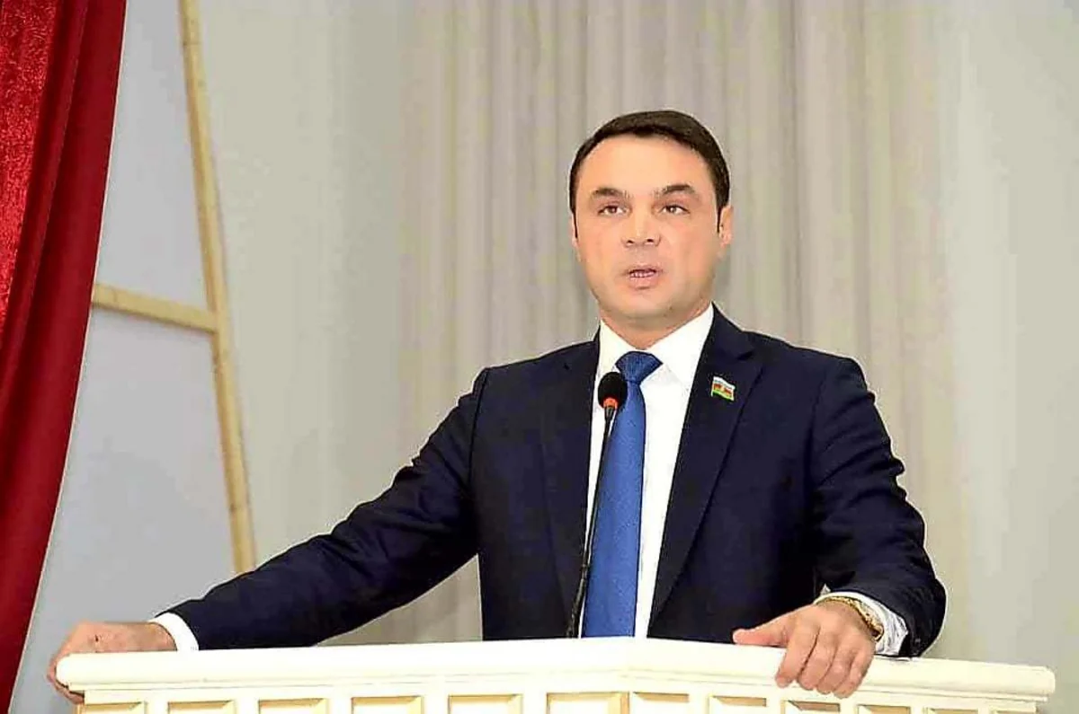 Eldaniz Salimov loses parliamentary mandate