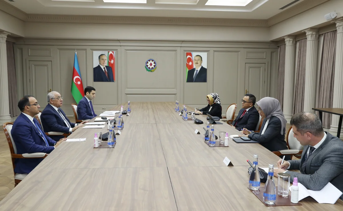 Baş nazir Əli Əsədov İndoneziyanın inzibati və bürokratik islahatlar naziri ilə görüşüb