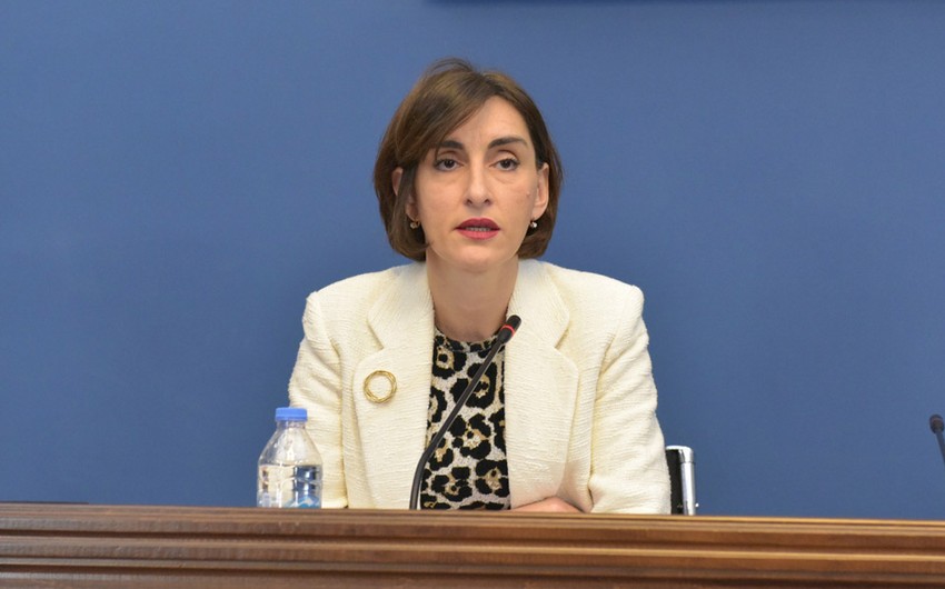 Georgia's Foreign Minister slams Macron's misinformed comments on election interference