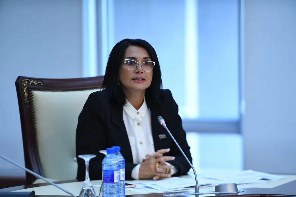 MP: France trying to achieve its goals through Armenia by fulfilling Armenian lobby's will