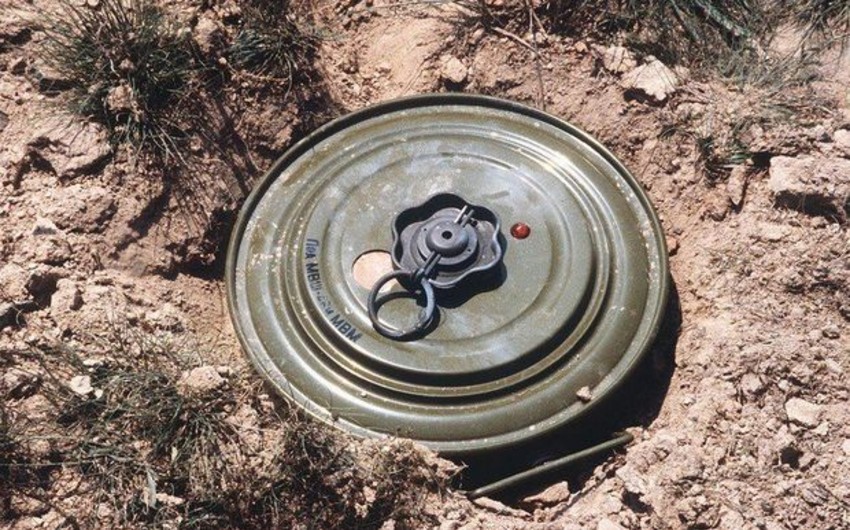 31-year-old man killed by landmine in Goygol