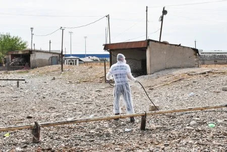 Azərbaycanda qurbanlıq heyvanların satışına icazə verilmiş yerlərdə dezinfeksiya tədbiri başa çatdırılıb