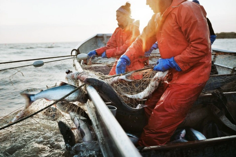 Azərbaycanda bu il üçün balıq və digər su bioresurslarının ovuna kvota təsdiqlənib