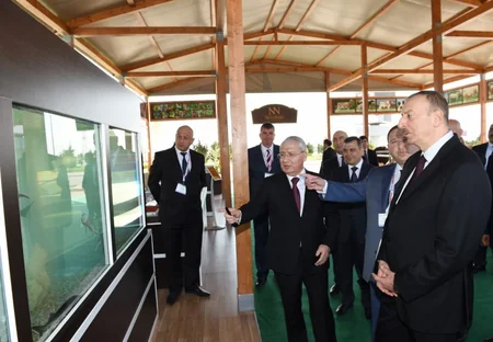Prezident İlham Əliyev Beynəlxalq qida sənayesi və kənd təsərrüfatı sərgiləri ilə tanış olub
