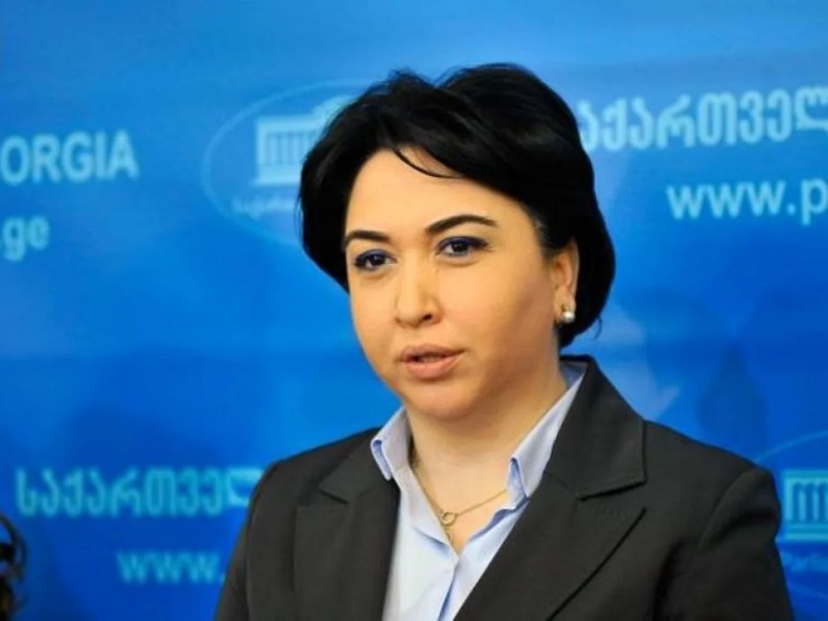New political party established in Georgia