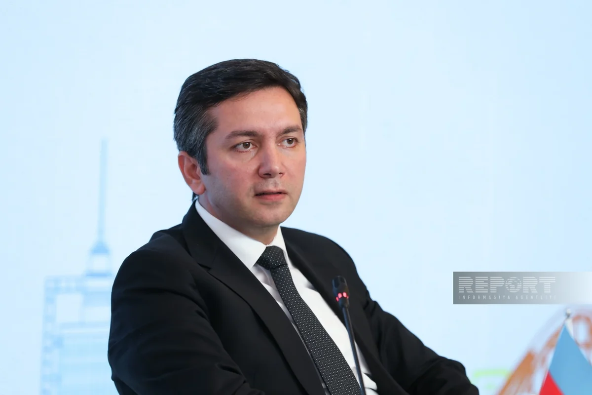 Ялчын Рафиев: Председательство COP29 и SIDS приняли Бакинскую декларацию