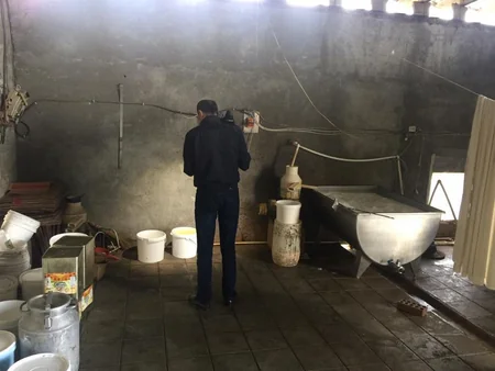 Masallıda qanunsuz pendir sexi aşkarlanıb - FOTO