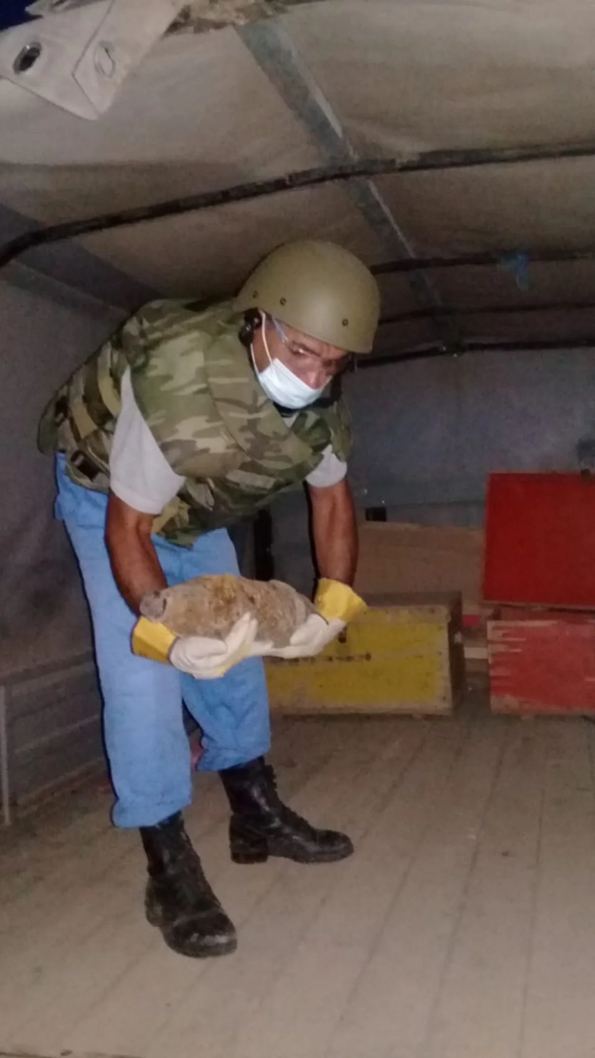 Füzuli rayonunda top mərmisi aşkarlandı