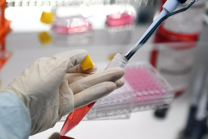 Anthrax cases reported in China