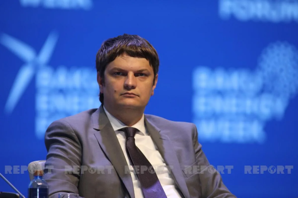 Зампремьера Молдовы: Азербайджан - наш стратегический партнер