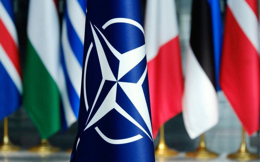 Finlandiya Prezidenti və Baş naziri ölkənin NATO-ya daxil olmasını dəstəkləyib