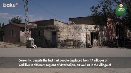 Qərbi Azərbaycan Xronikası: Ermənilərin məkrli siyasətinə məruz qalan Vedibasar mahalı