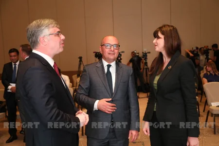 Агентство по разминированию Азербайджана представило новый логотип