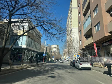 Bakıda avtomobillərin parklanması effektiv təşkil olunubmu?