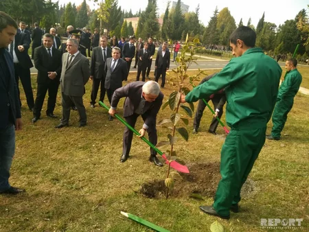 Balakan district for first time hosts International Date Festival - PHOTO