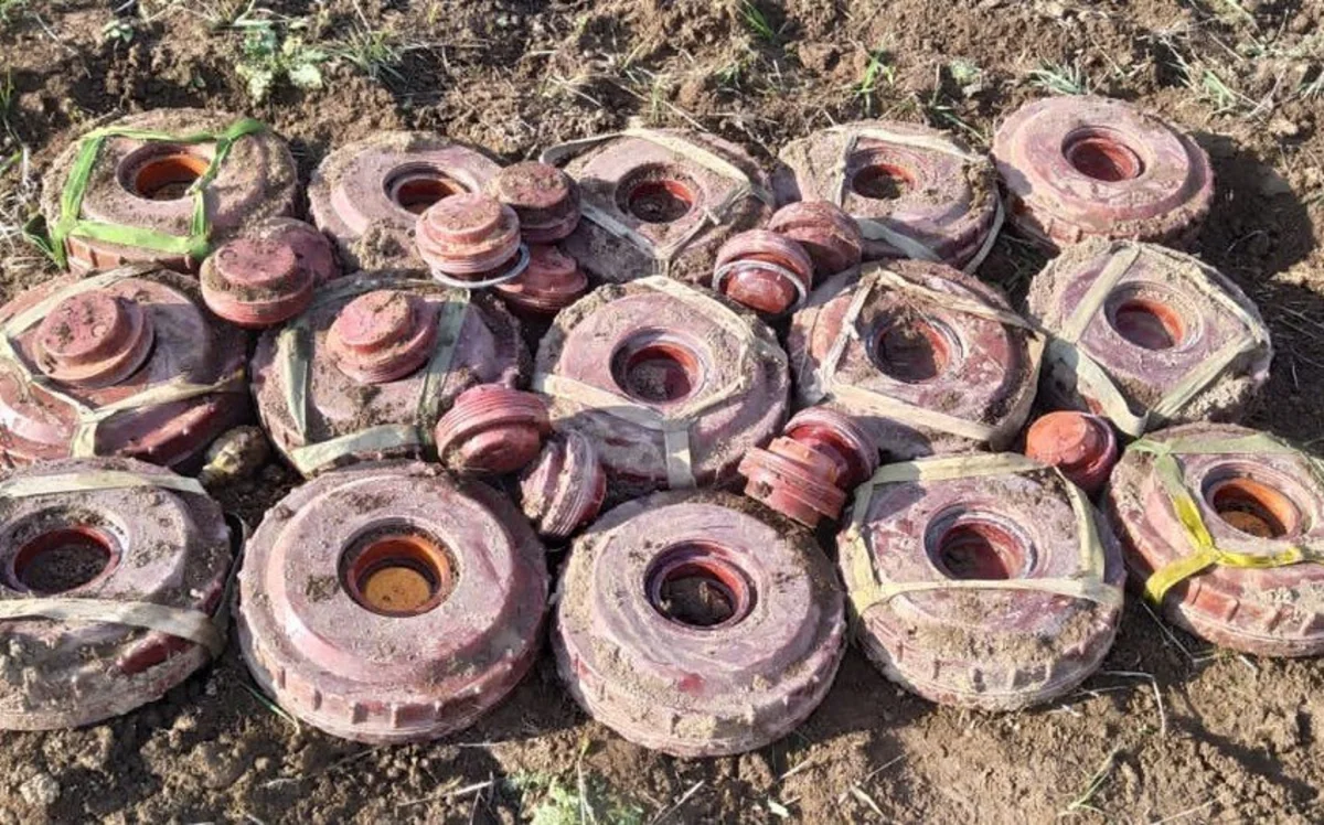 ANAMA: 2020-ci il ölkədə 11,4 min ədəd mina zərərizləşdirilib