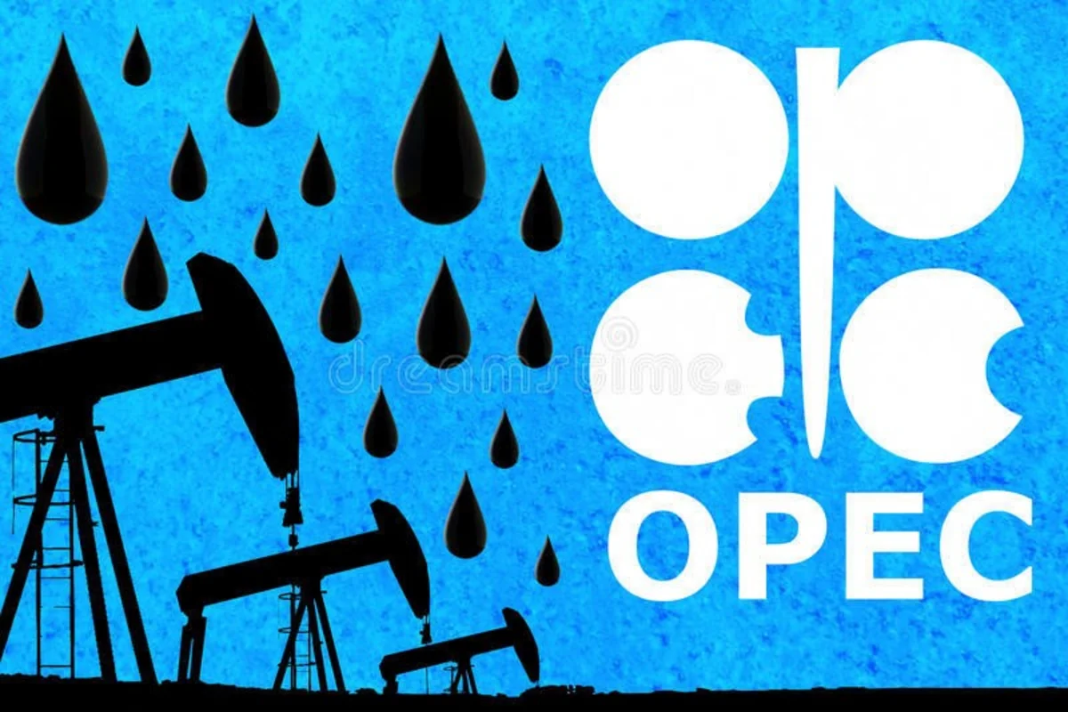 OPEC Azərbaycanda 2019-cu ildə neft hasilatına dair proqnoz dərc edib