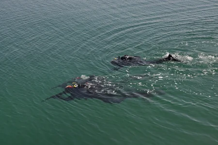 DSX Xəzər dənizində taktiki təlimlər keçirib