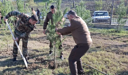 FHN-in Aran Regional Mərkəzi ağacəkmə aksiyası keçirib