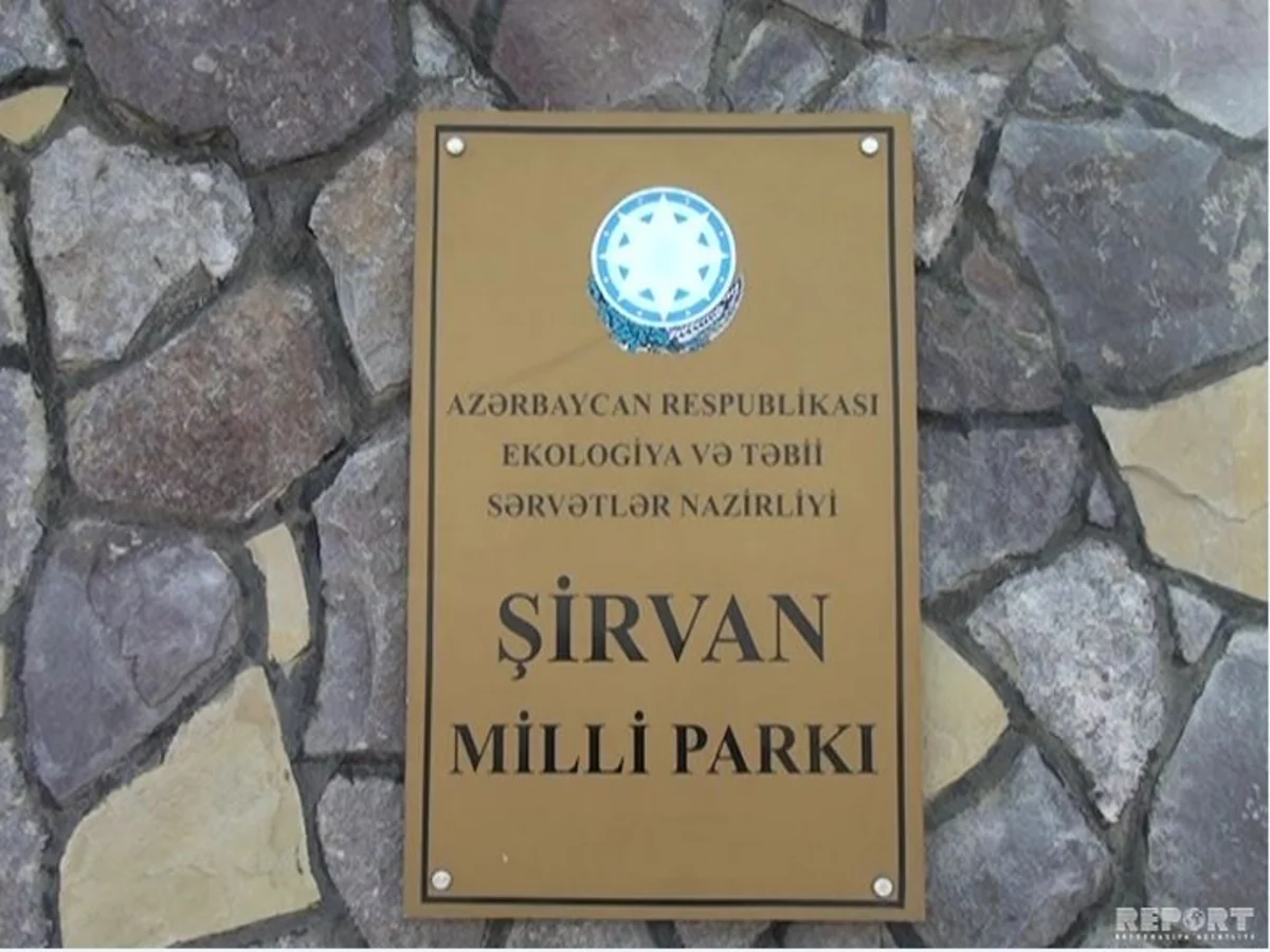 ETSN: Brakonyerlər Şirvan Milli Parkının əməkdaşına atəş açaraq yaralayıb