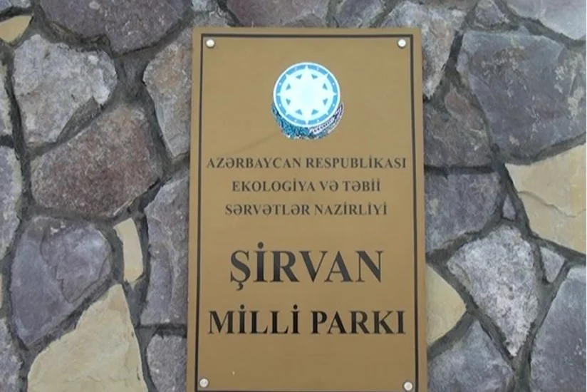 ETSN: Brakonyerlər Şirvan Milli Parkının əməkdaşına atəş açaraq yaralayıb