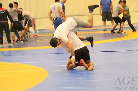 Azərbaycanın olimpiya mükafatçıları Qızıl Qran Pri turnirində iştirak etməyəcək
