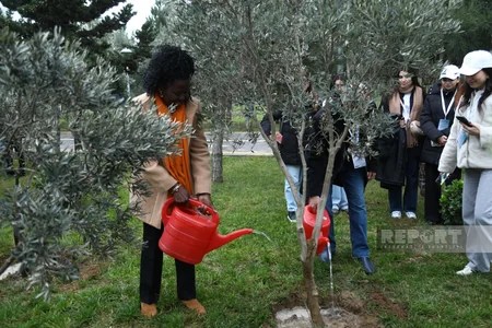International conference participants in Baku plant trees in Zira Ecopark