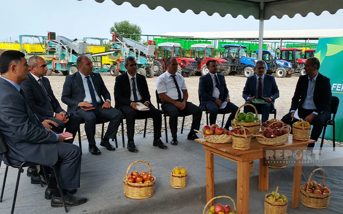 Xaçmazda “Aqrar sahədə dövlətin dəstək mexanizmləri” mövzusunda panel müzakirə keçirilib