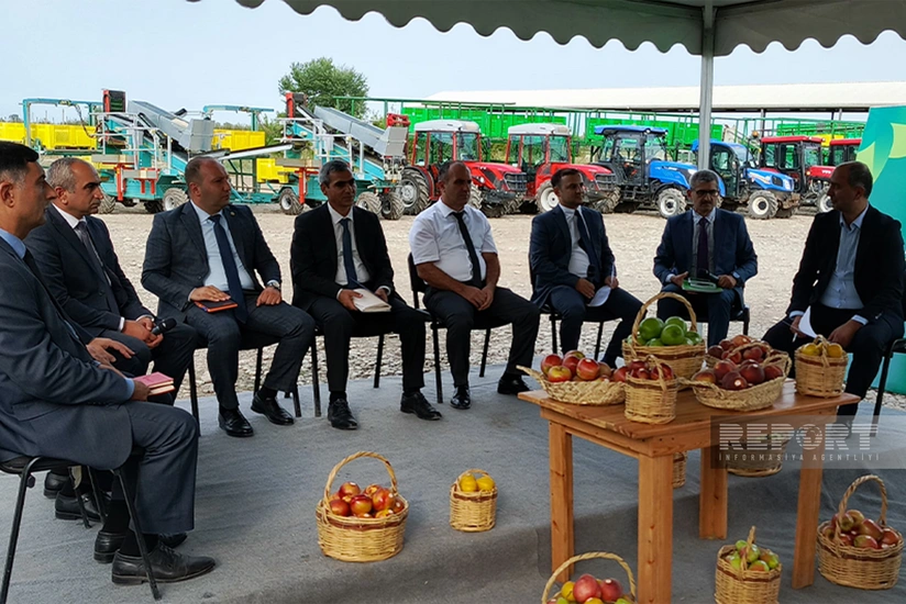 Xaçmazda “Aqrar sahədə dövlətin dəstək mexanizmləri” mövzusunda panel müzakirə keçirilib