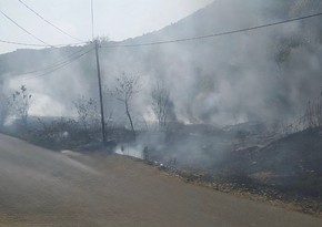 Qəbələdə yanğın törədən şəxslər müəyyən edilib
