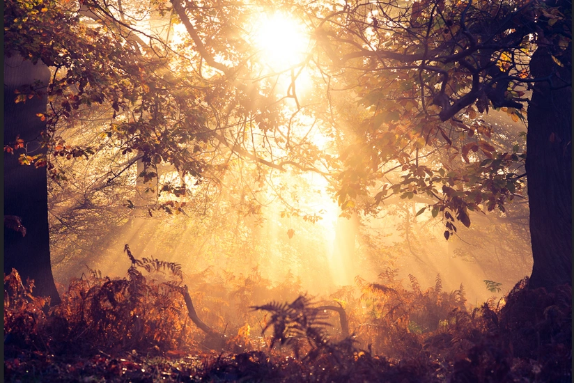 Havanın temperaturu yüksələcək