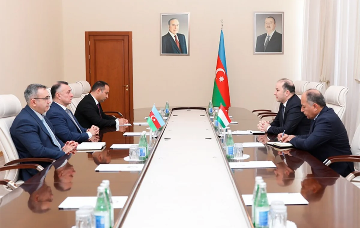 Azerbaijan, Tajikistan discuss cooperation in healthcare
