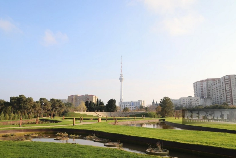 Mərkəzi Nəbatət Bağı auditor seçib