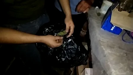 24 kq-dan artıq narkotik vasitə qanunsuz dövriyyədən çıxarıldı