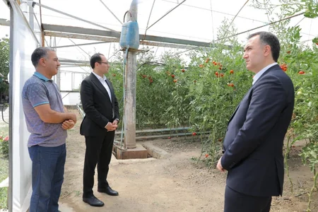 Məcnun Məmmədov Şərurda vətəndaşları qəbul edib, təsərrüfat və müəssisələrə baş çəkib