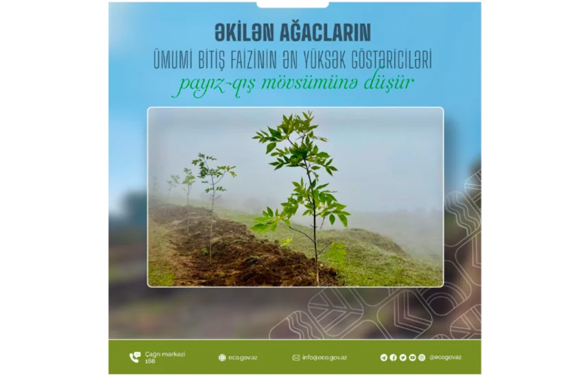 Xidmət rəisi: Payızın sonu və qışın şaxtasız dövrü ağac əkini üçün əlverişli vaxtdır