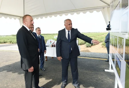 Prezident İlham Əliyev Lənkəranda “Astara Çay” MMC-nin çay plantasiyalarına baxıb
