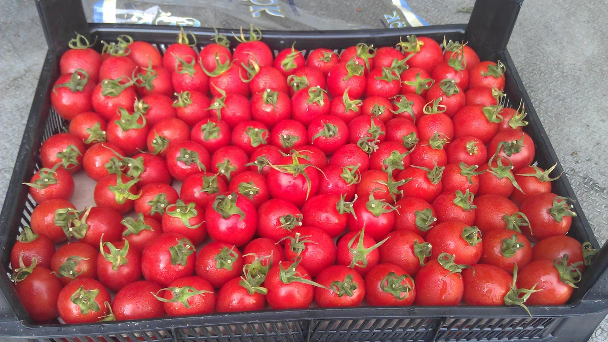 Предотвращен ввоз в Дагестан сельхозпродукции из Азербайджана