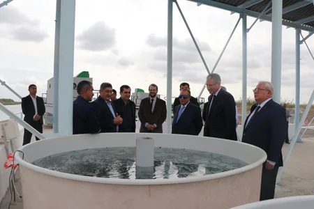 Neftçalada Kürə körpə nərə balıqları buraxılıb
