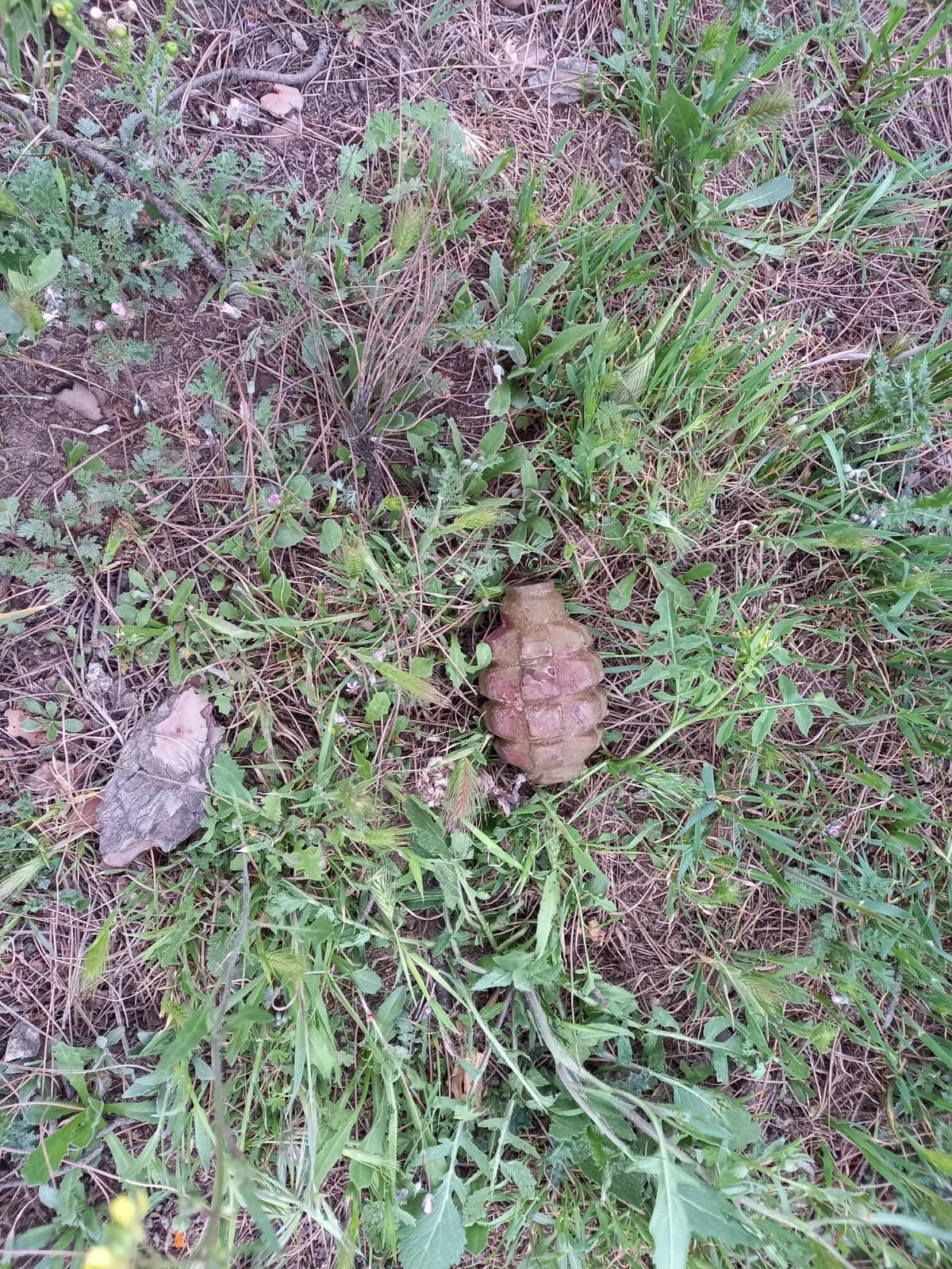 В Баку обнаружены ручные гранаты