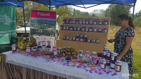 Gabala today hosts the V International Jam Festival