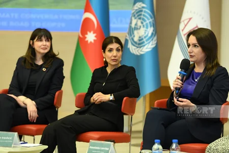 UN Office to invite climate experts to Azerbaijan within COP29