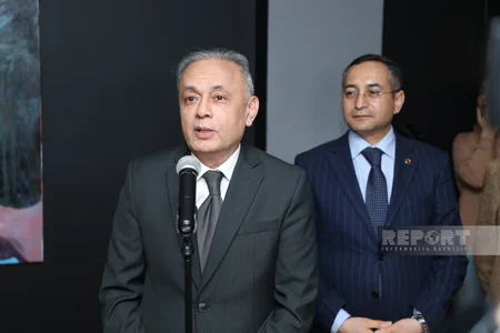 В Баку выставлены картины турецкой художницы Айфер Акбашоглу