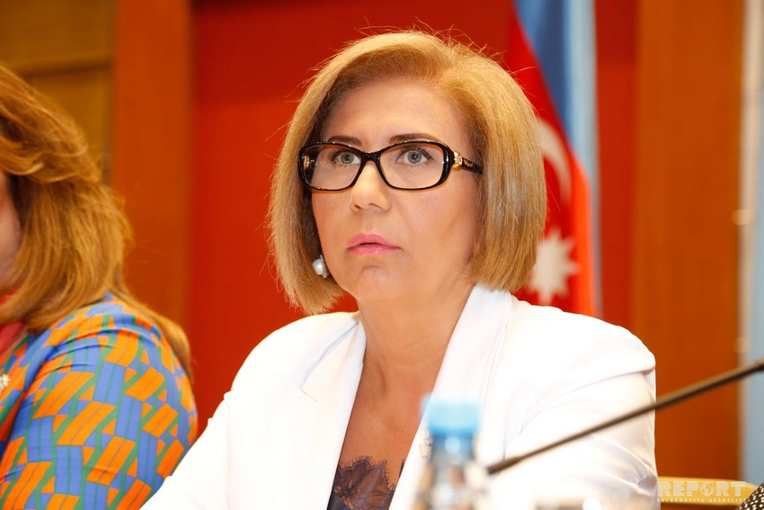 Bahar Muradova: “1990-cı illərdə Azərbaycanda insan hüquq və azadlıqları sahəsində problemlər mövcud idi”