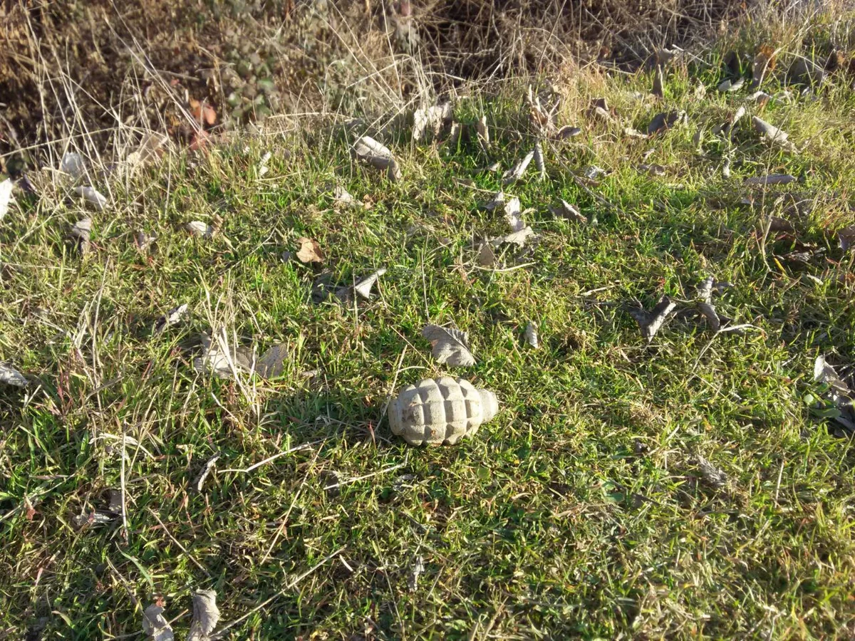 Ağstafada həyətyanı sahədə 1 ədəd F-1 əlqumbarası aşkar edilib