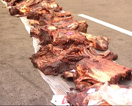 ​Ağdaş sakinləri 945 kiloqram at əti satmaq istəyərkən saxlanılıblar