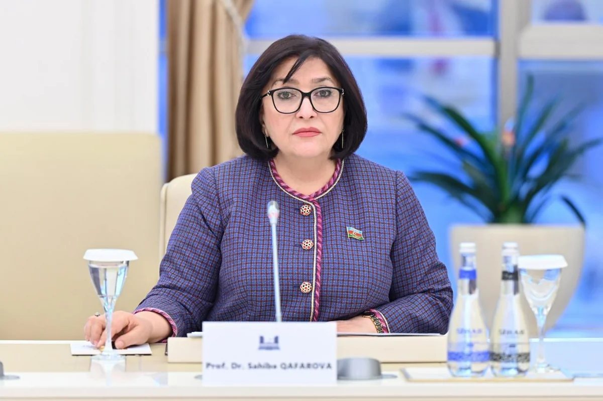 Sahibə Qafarova: Danışıqlar masası arxasında heç bir dövlət Azərbaycana təzyiq göstərə bilməz