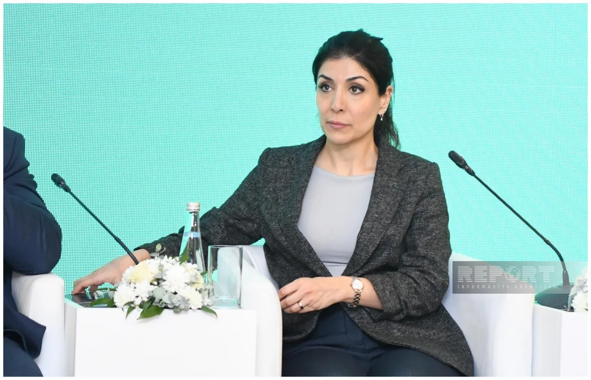 Deputat: Azərbaycanda könüllülük fəaliyyətinə maraq ildən-ilə artır